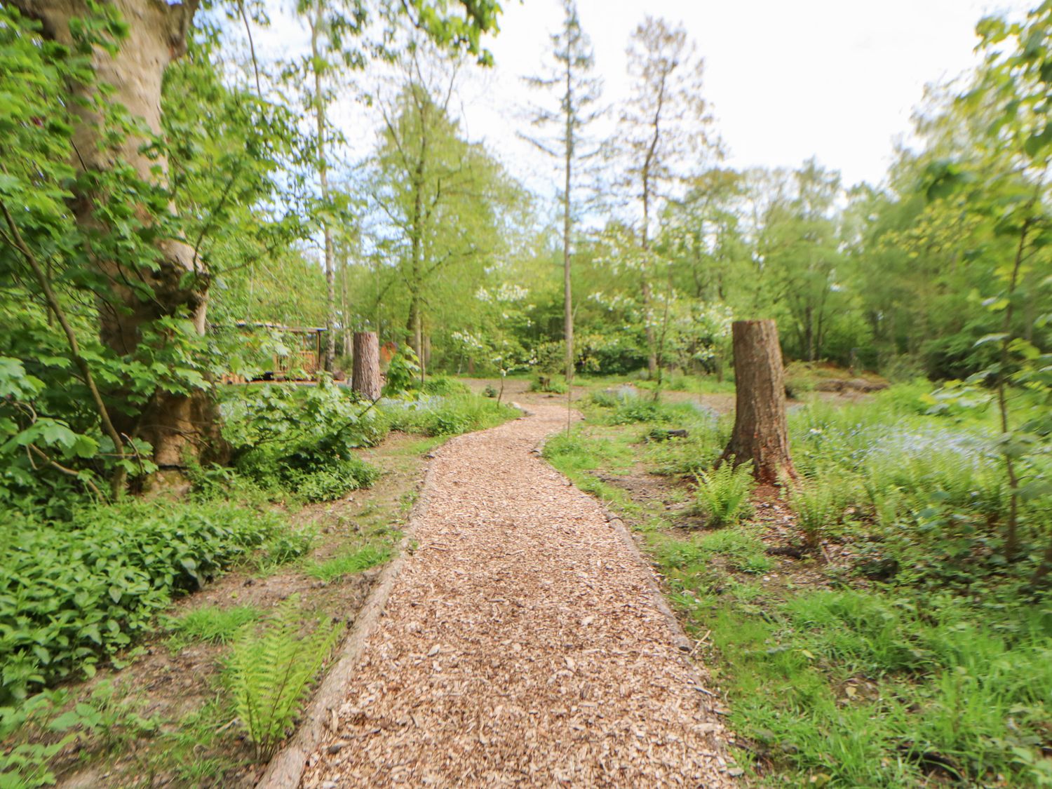 Bracken Fern - Aldbrough St John, North Yorkshire. Off-road parking. Private garden. On working farm