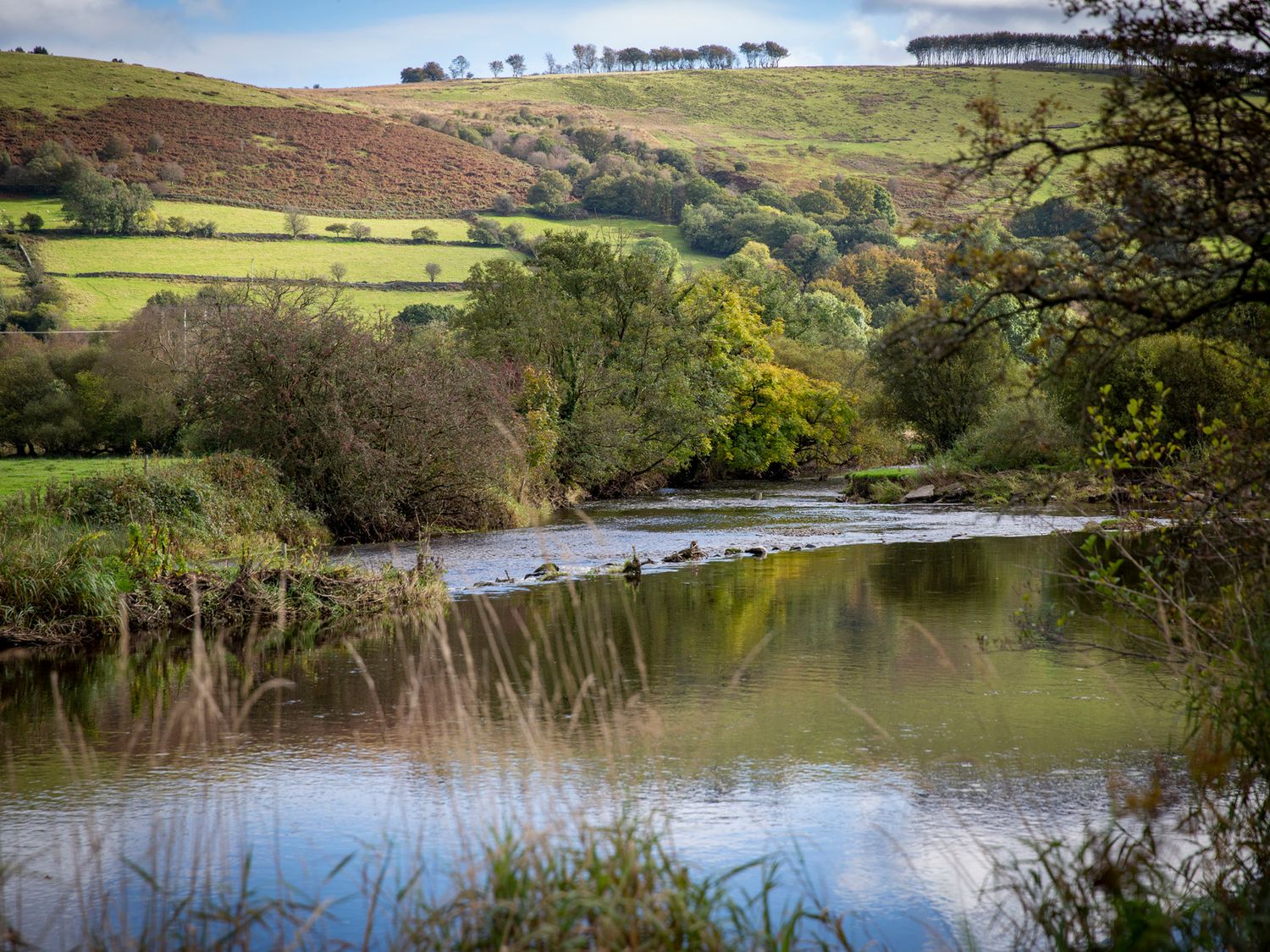 Bwthyn Bach Brefi, Llanddewi-Brefi