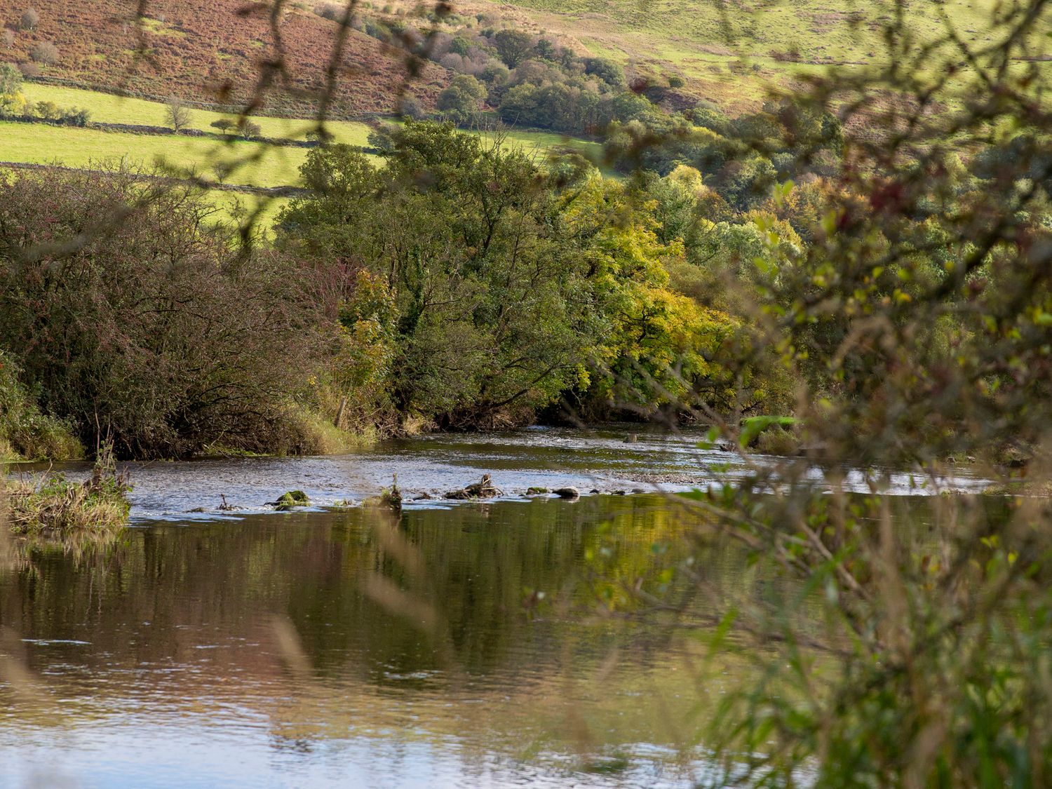 Bwthyn Bach Brefi, Llanddewi-Brefi