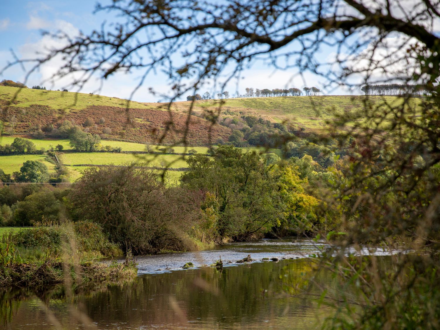 Bwthyn Bach Brefi, Llanddewi-Brefi