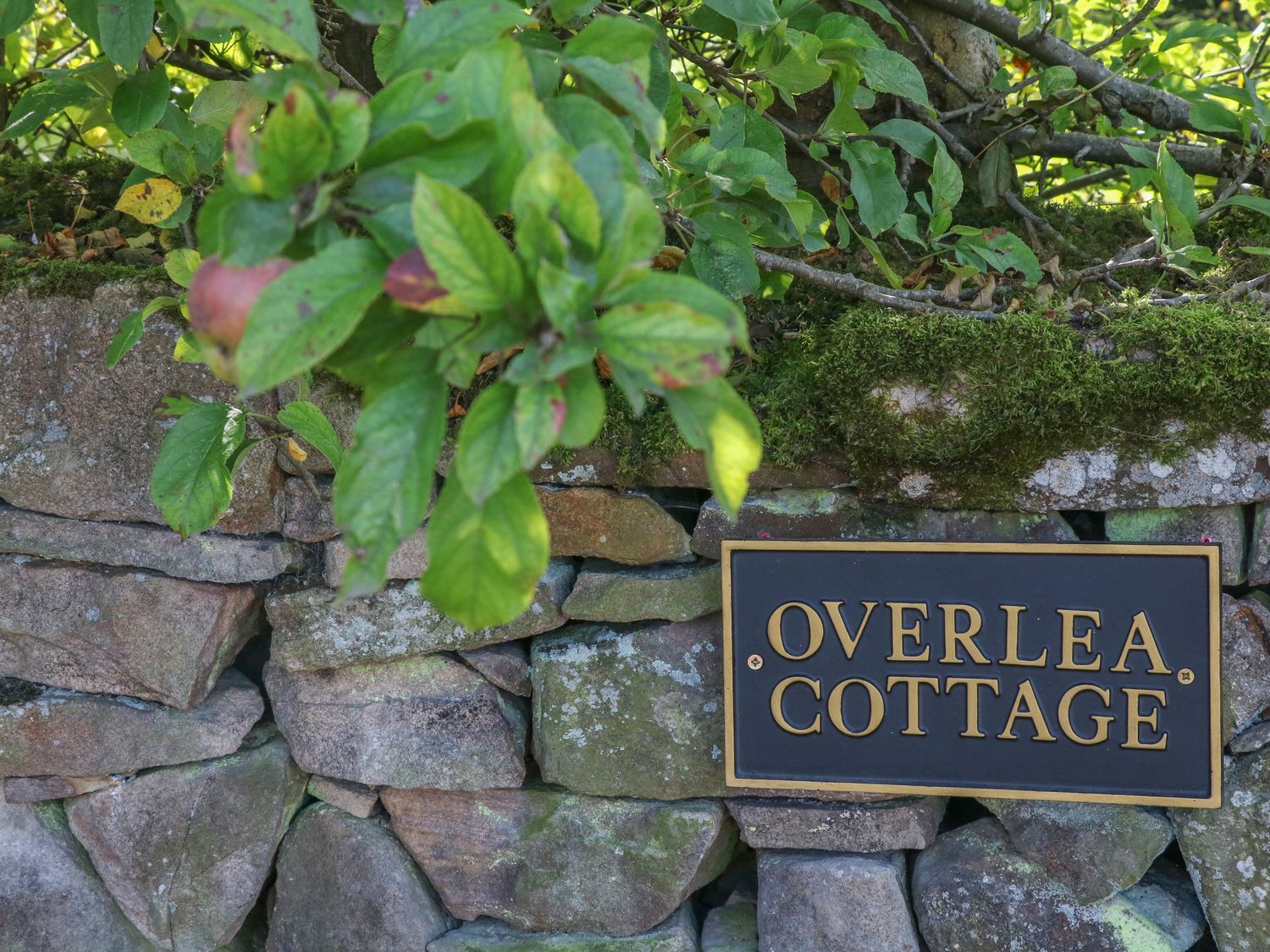 Overlea Cottage, Hayfield