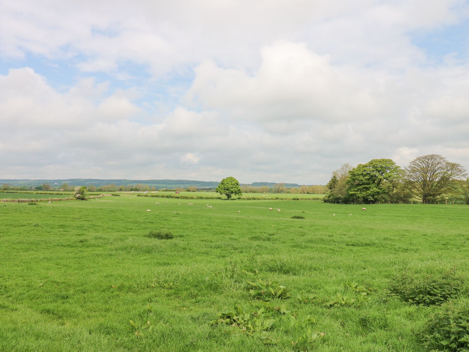 Badgers Sett, Staindrop