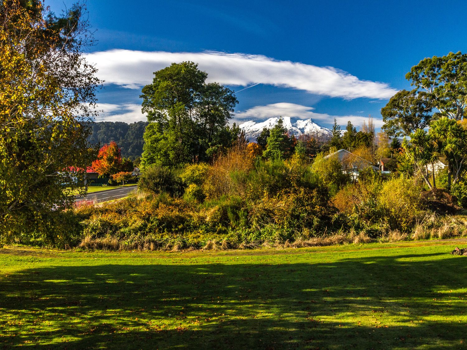 Kune Crib - Ohakune Holiday Home near Turoa                     photo 2