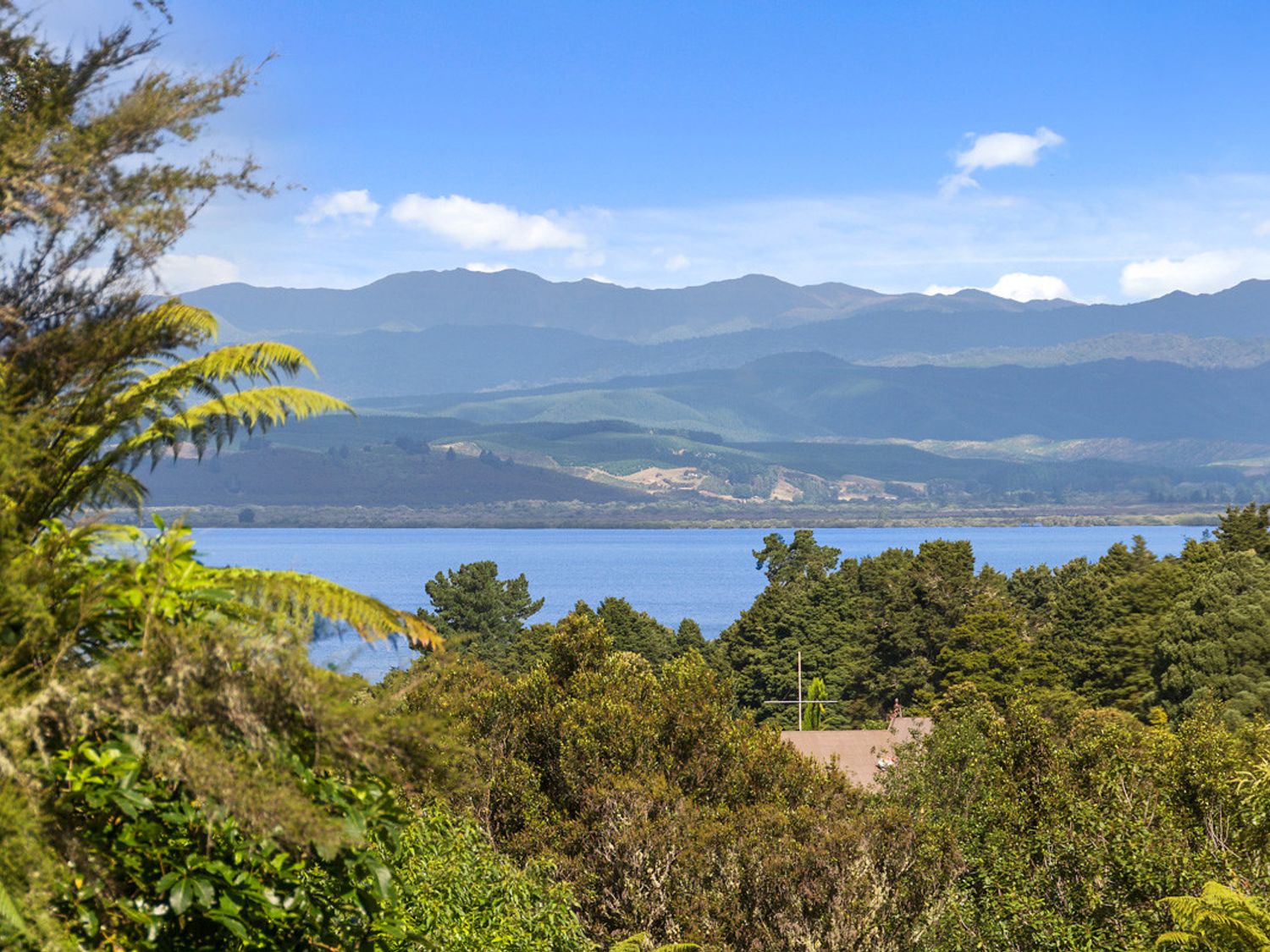 Pukawa Haven - Pukawa Bay Holiday Home                     photo 25