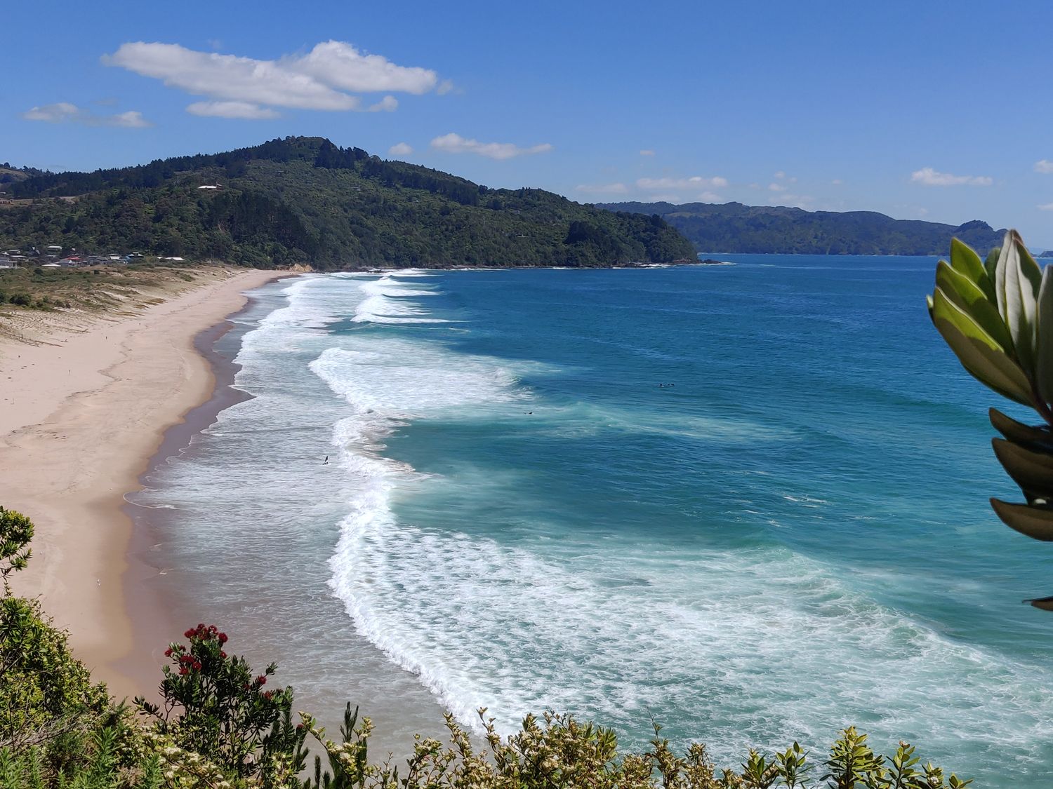 Paku Escape - Tairua Bach                     photo 15