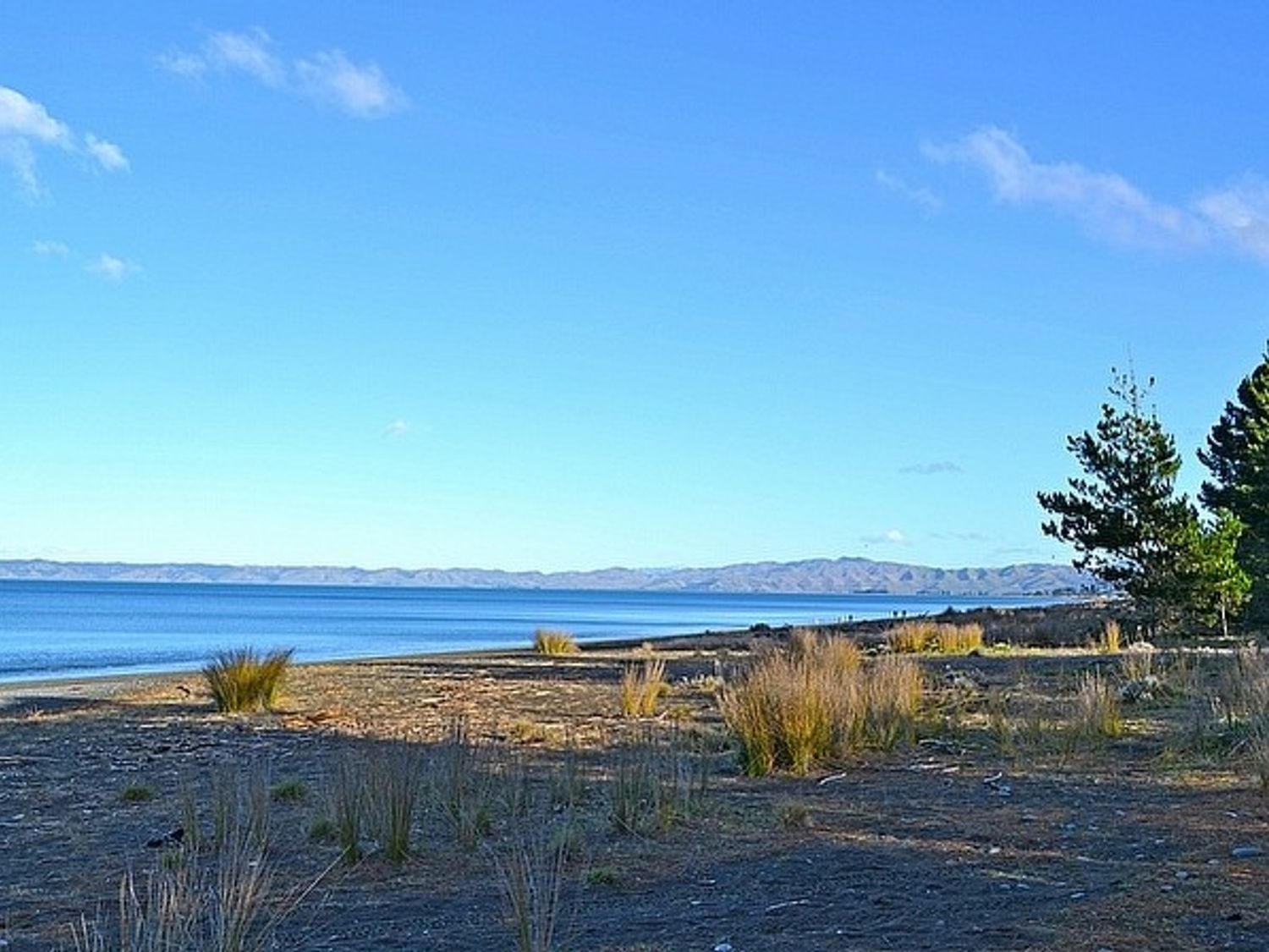 Sunrise Beach House - Rarangi Holiday House                     photo 2