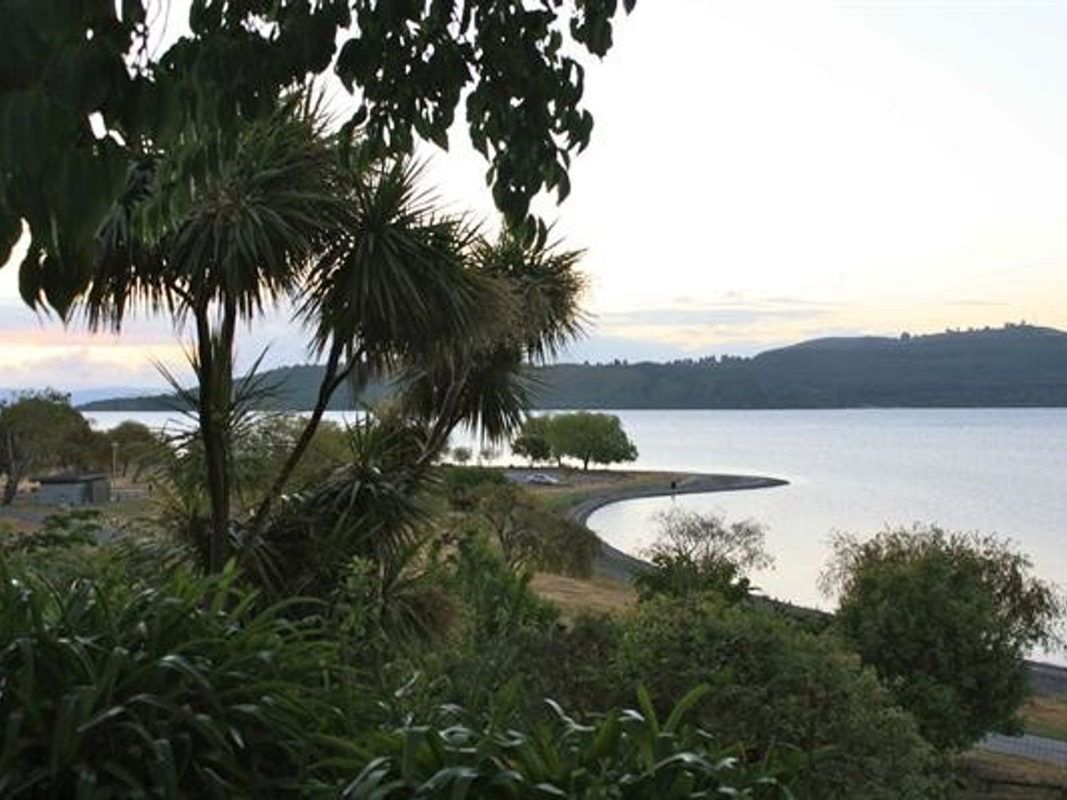 A lakeside view with trees and a curved shoreline at Moeroa - Wharewaka Holiday Home in Wharewaka
