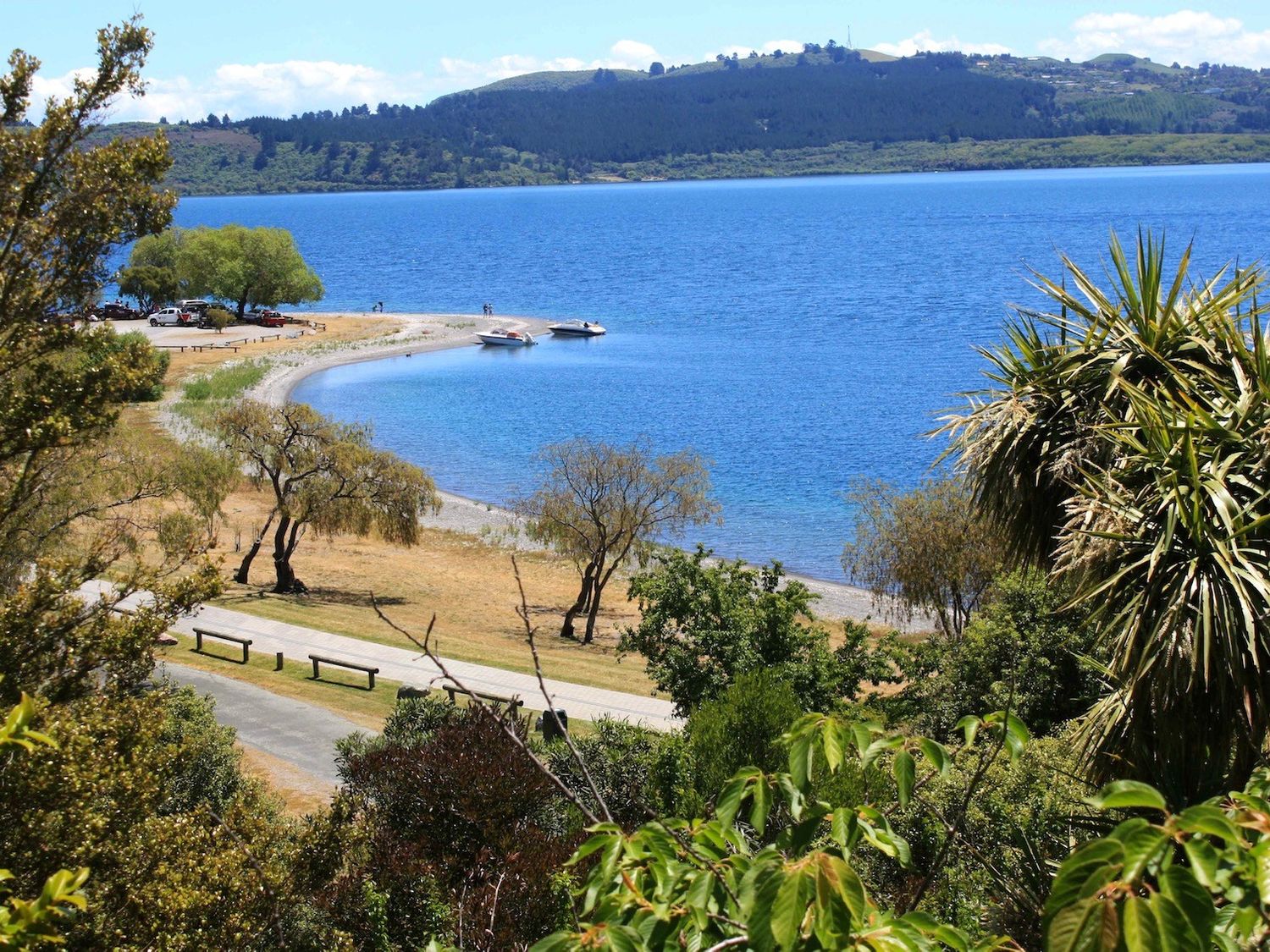 Moeroa - Wharewaka Holiday Home                     photo 2