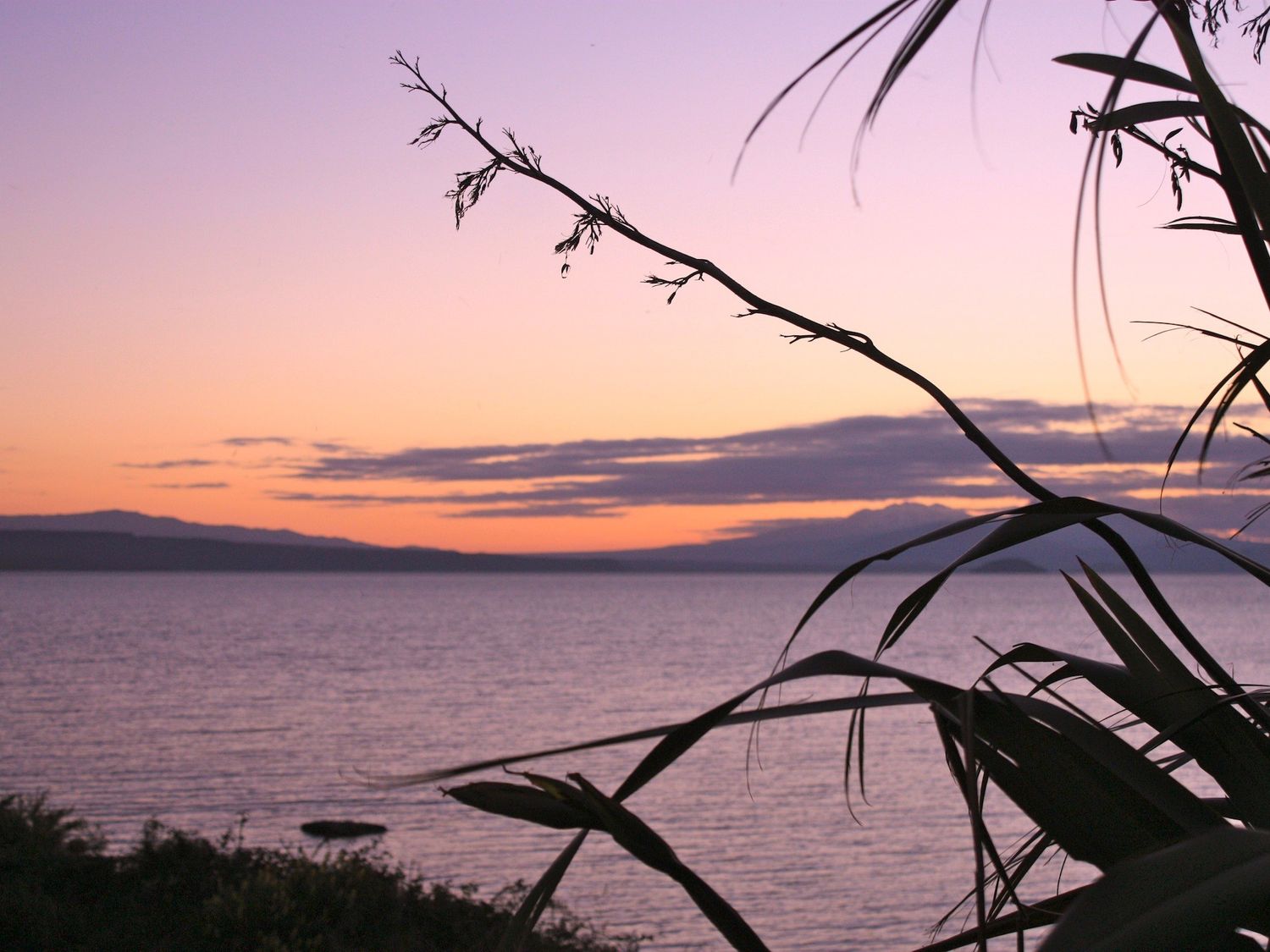 Moeroa - Wharewaka Holiday Home                     photo 17