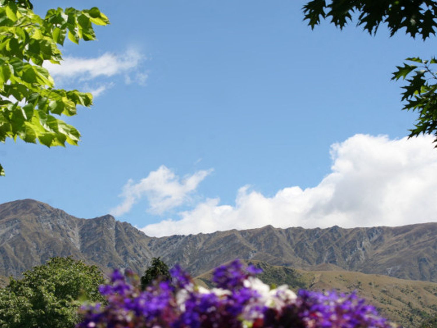 Tranquil Tipperary - Arrowtown Holiday Home                     photo 20