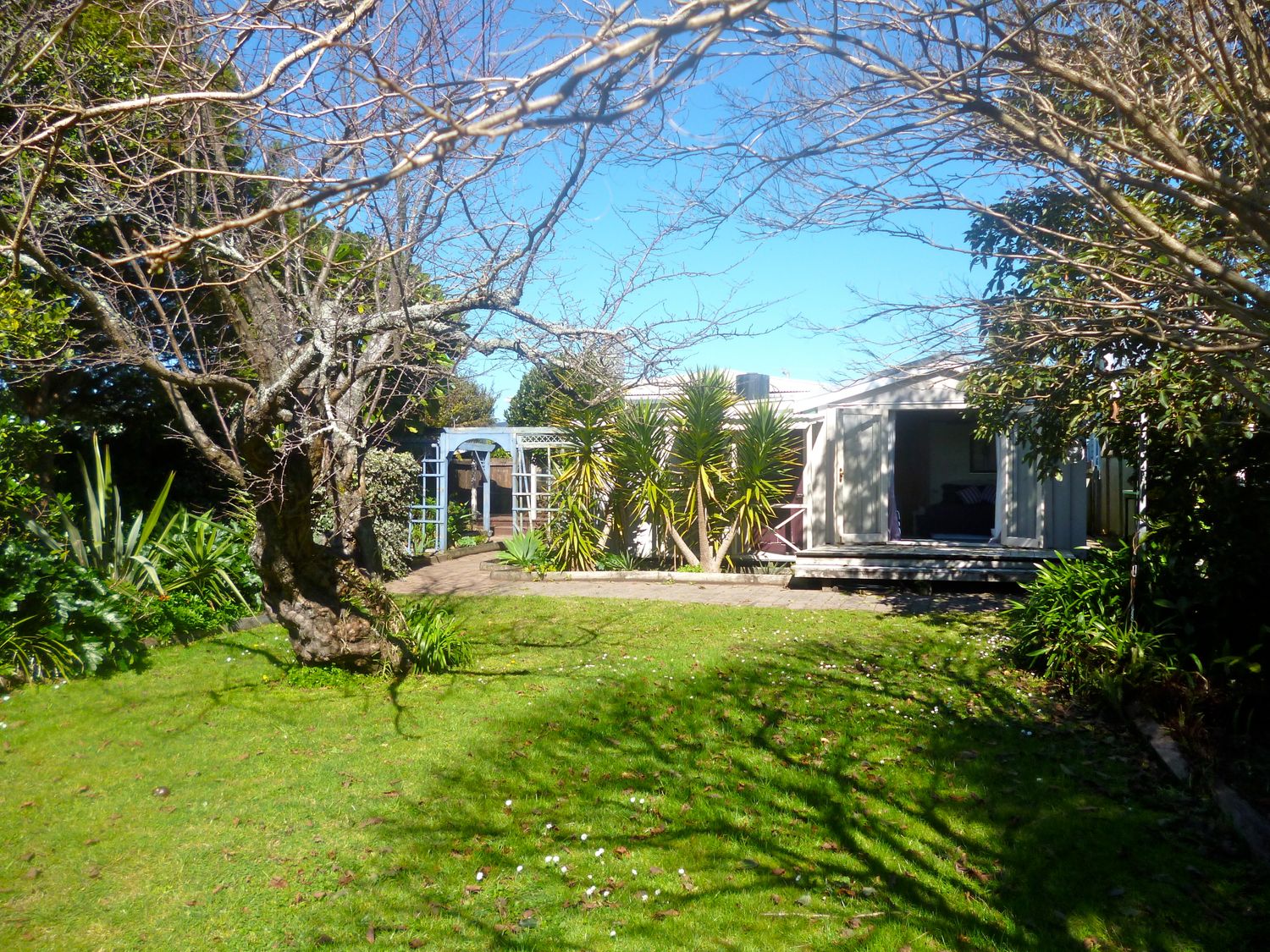 Haven on Hannan - Whitianga Holiday Home                     photo 2
