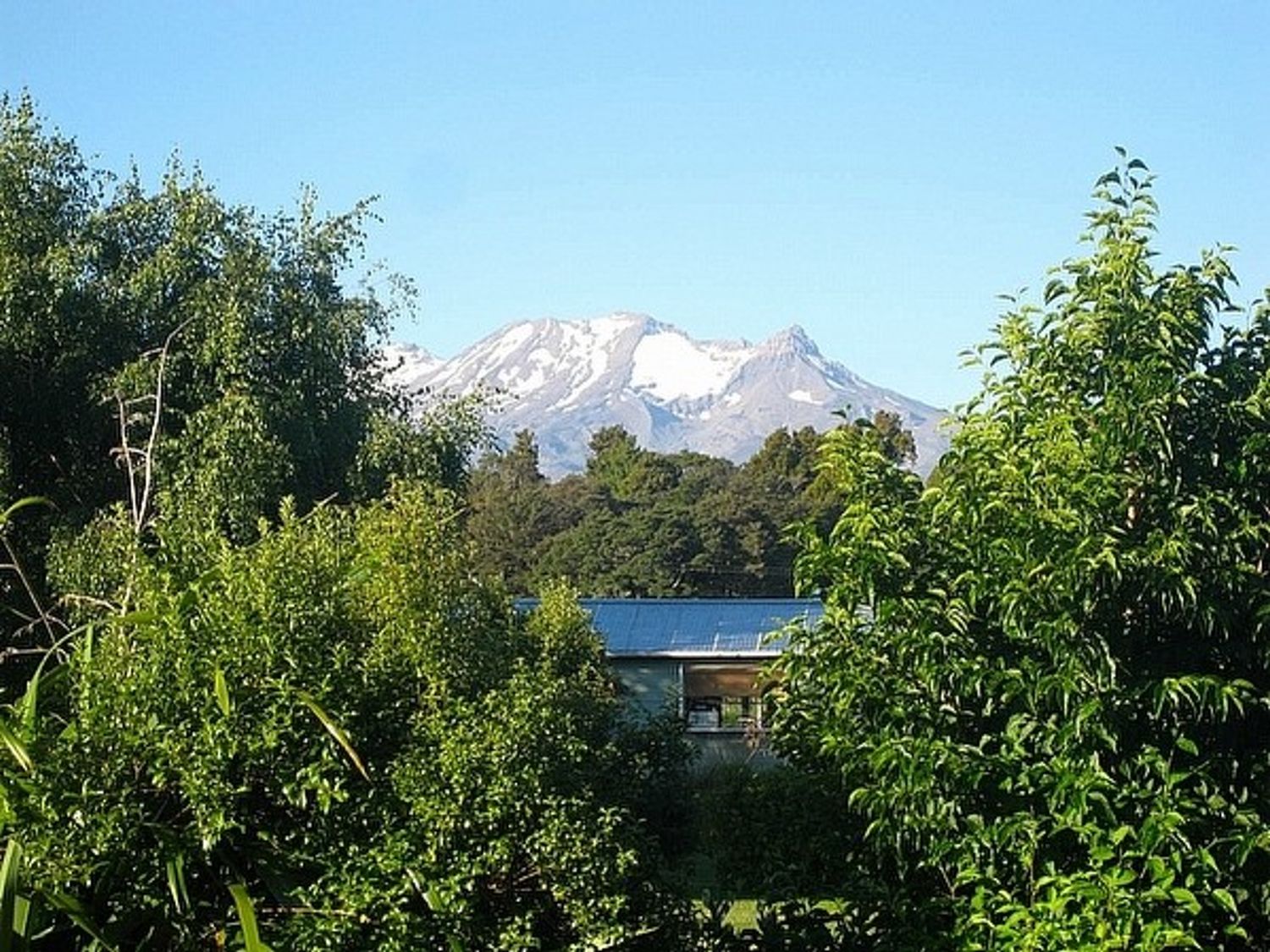 The Ski House on Miharo - Rangataua Holiday Home                     photo 25