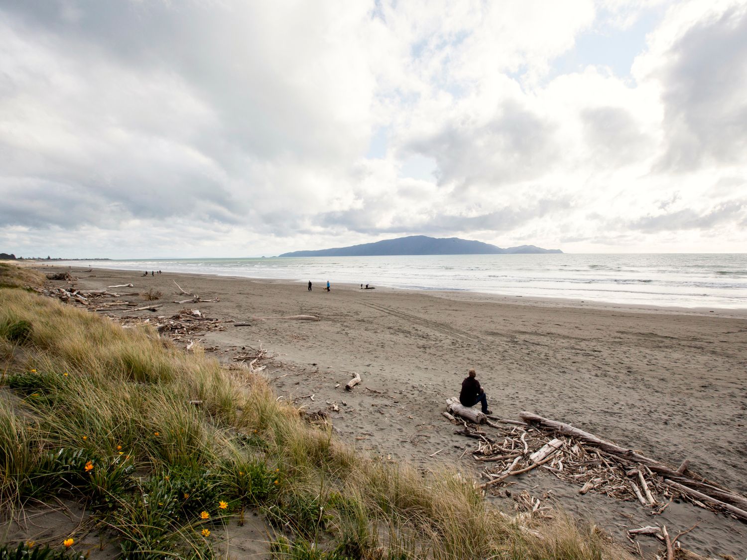 Waikanae Retreat - Waikanae Beach Holiday Home                     photo 21