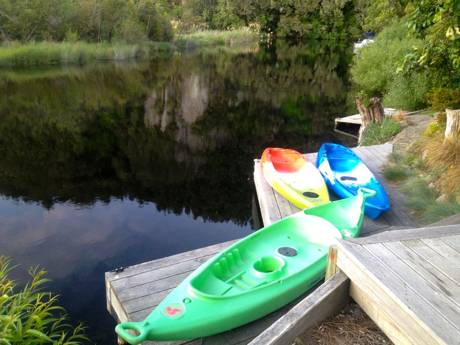 Kingfisher - Kuratau Holiday Home                     photo 2