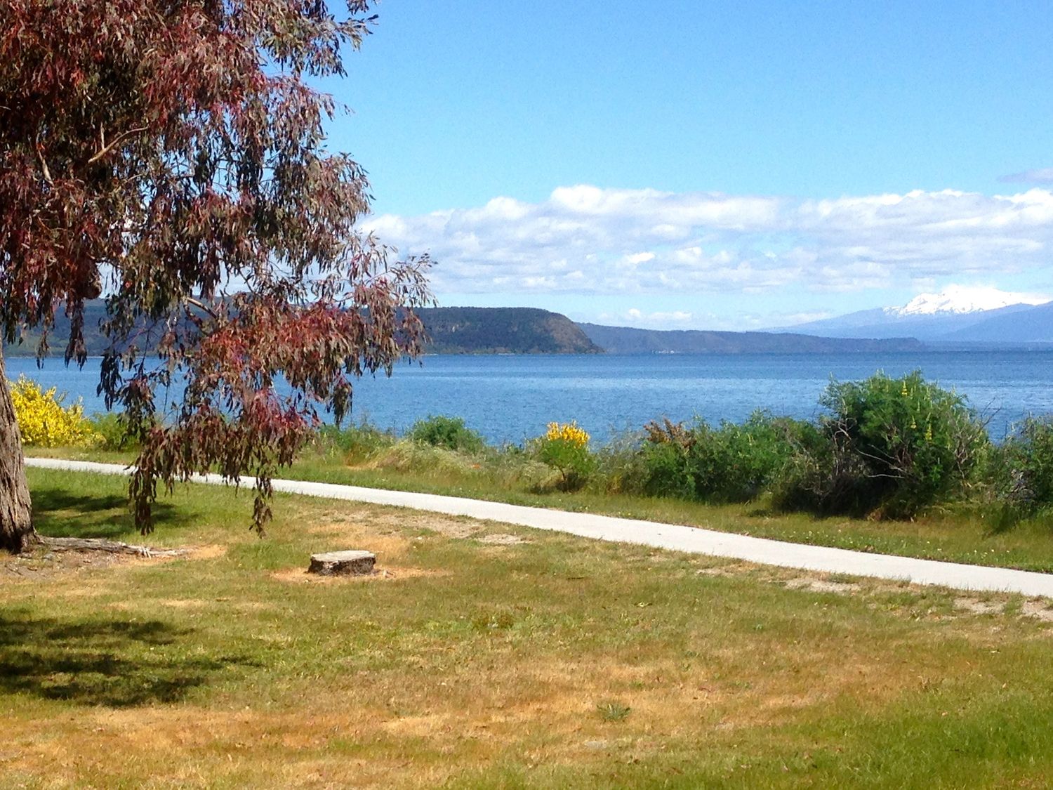 Relax Lakeside - Five Mile Bay Holiday Home                     photo 25