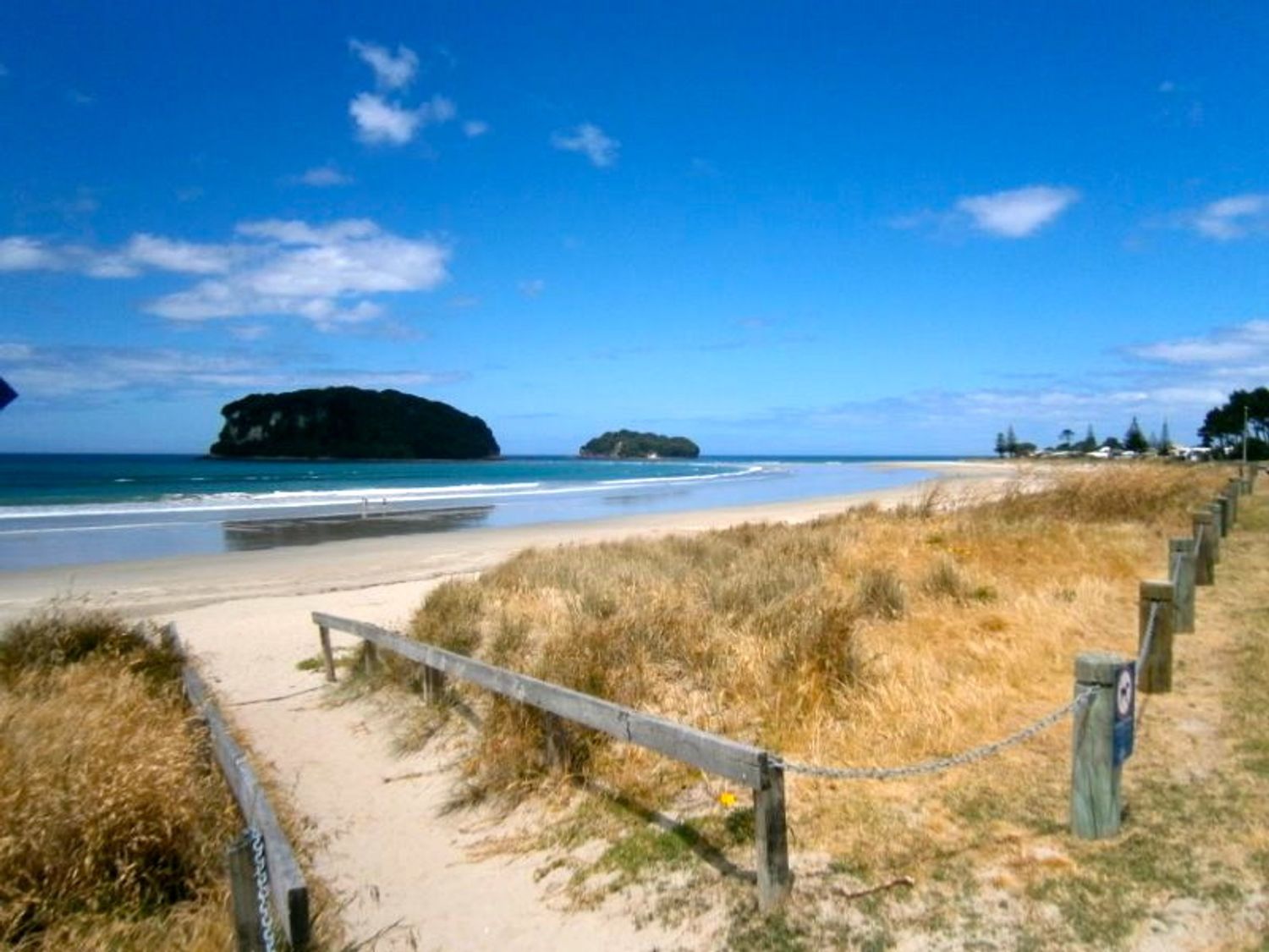 Baskervilla - Whangamata Holiday Home                     photo 16