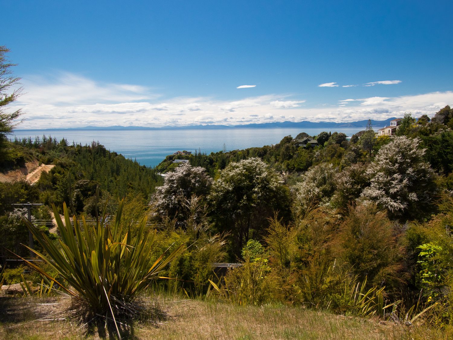 Kanuka House - Kaiteriteri Holiday Home                     photo 2