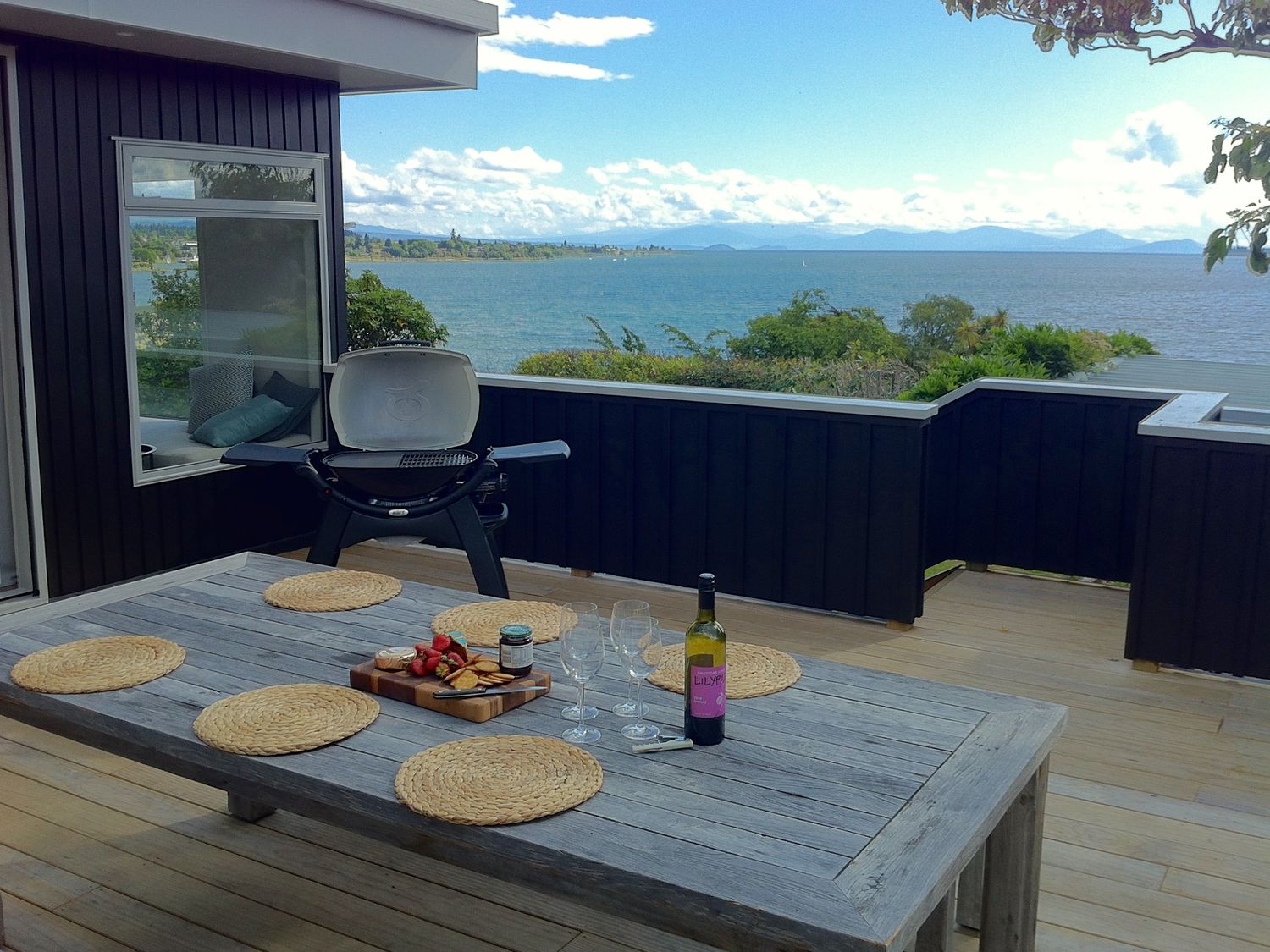 Lakeview House - Taupo Holiday Home -  - 1030986 - photo 1
