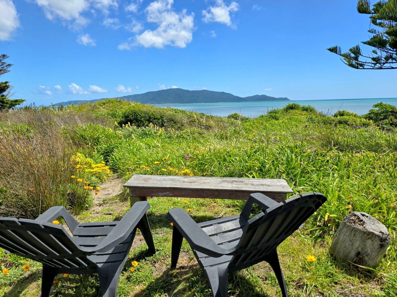 Beachfront Getaway - Waikanae Beach Holiday Home -  - 1031268 - photo 1