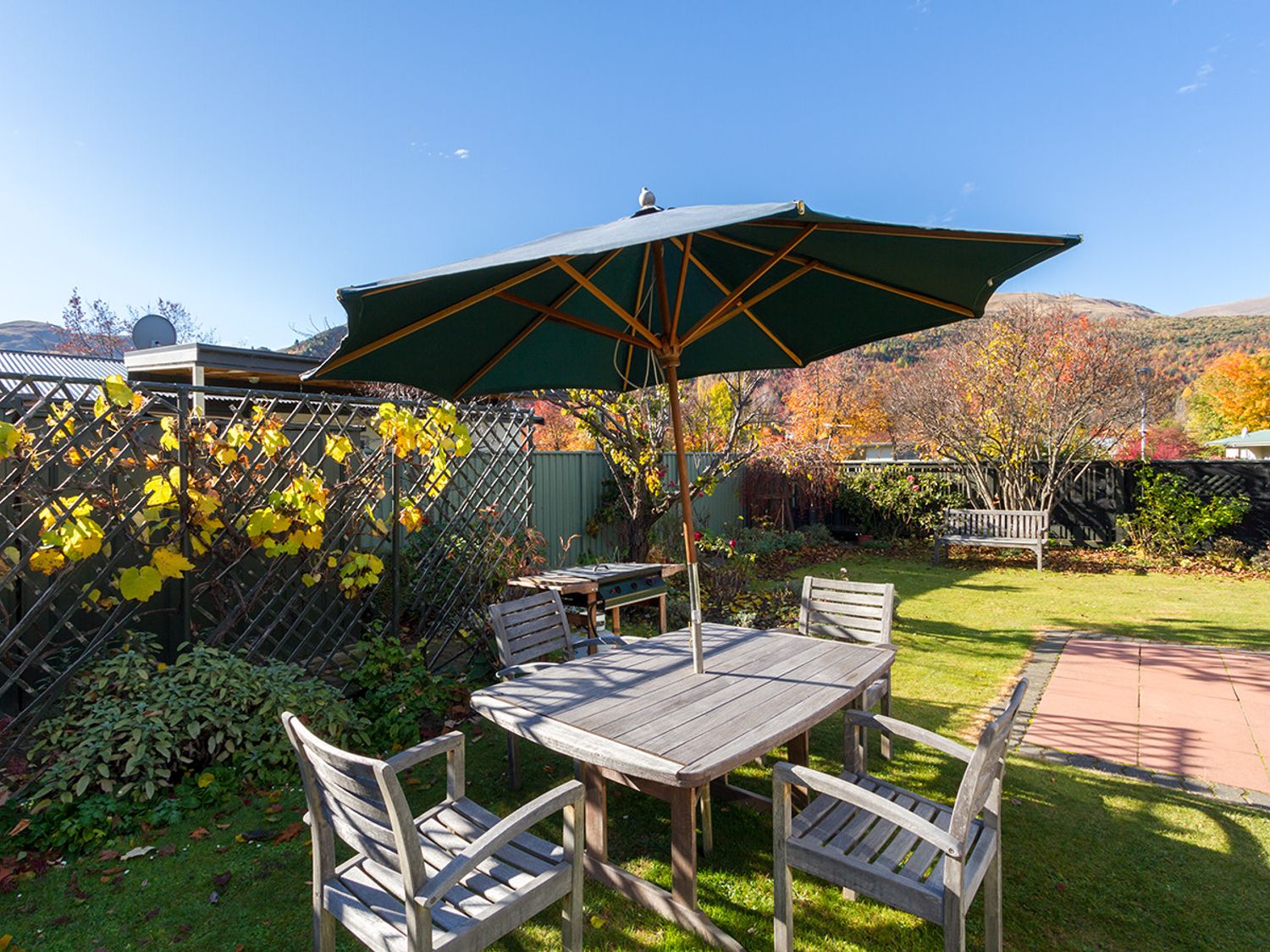 Brow Peak View - Arrowtown Holiday Home                     photo 29