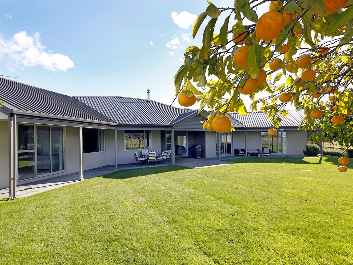 Marlborough Magic - Rapaura Holiday Home                     photo 33