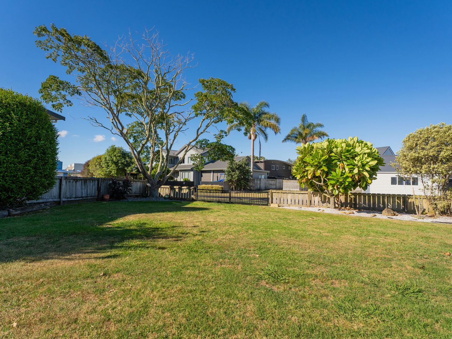 Nest by the Beach - Cooks Beach Holiday Home                     photo 23