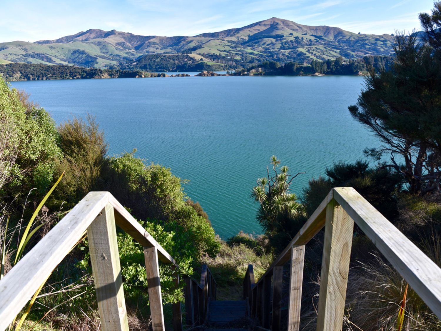 Hector's Tiny House - Akaroa Holiday Home                     photo 20