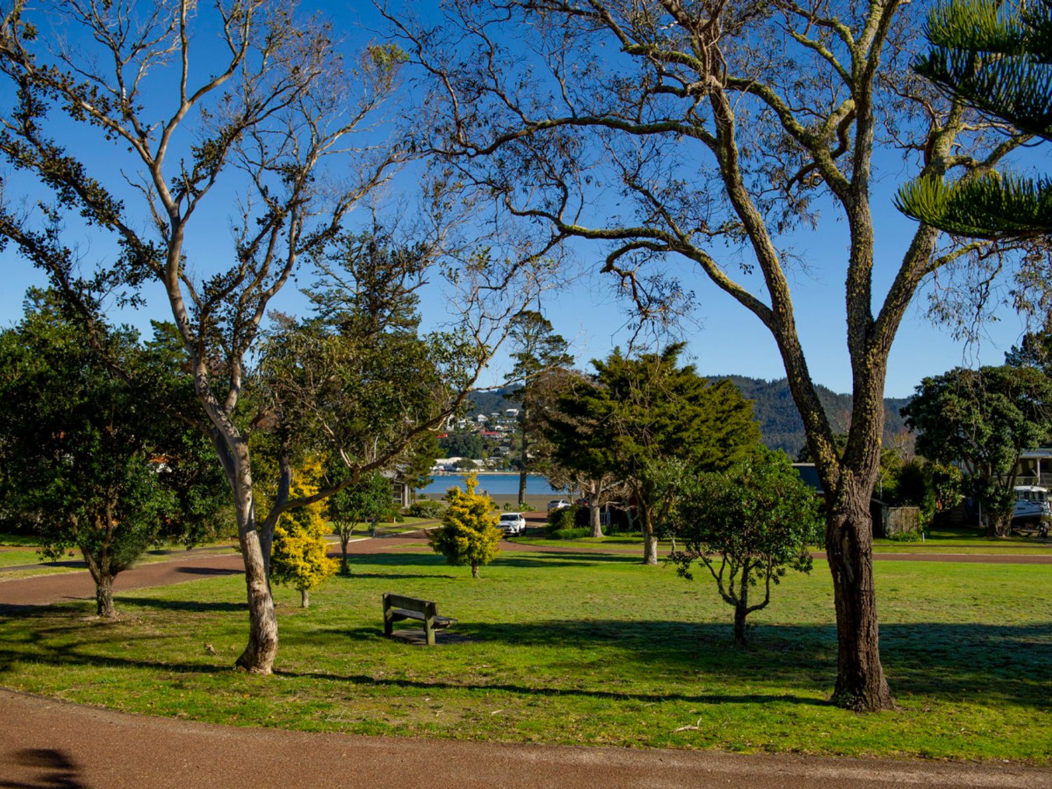 Gumhill Escape - Pauanui Holiday Home                     photo 26