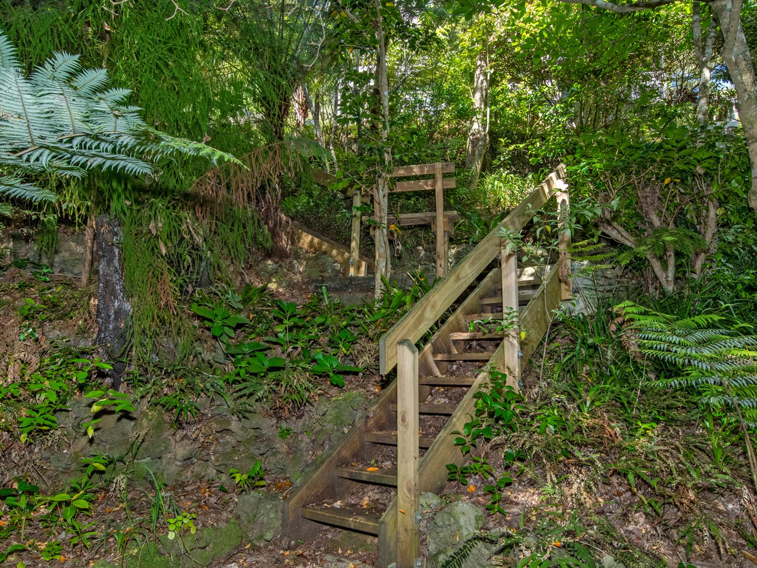 Rimu - Paihia Holiday Home                     photo 18