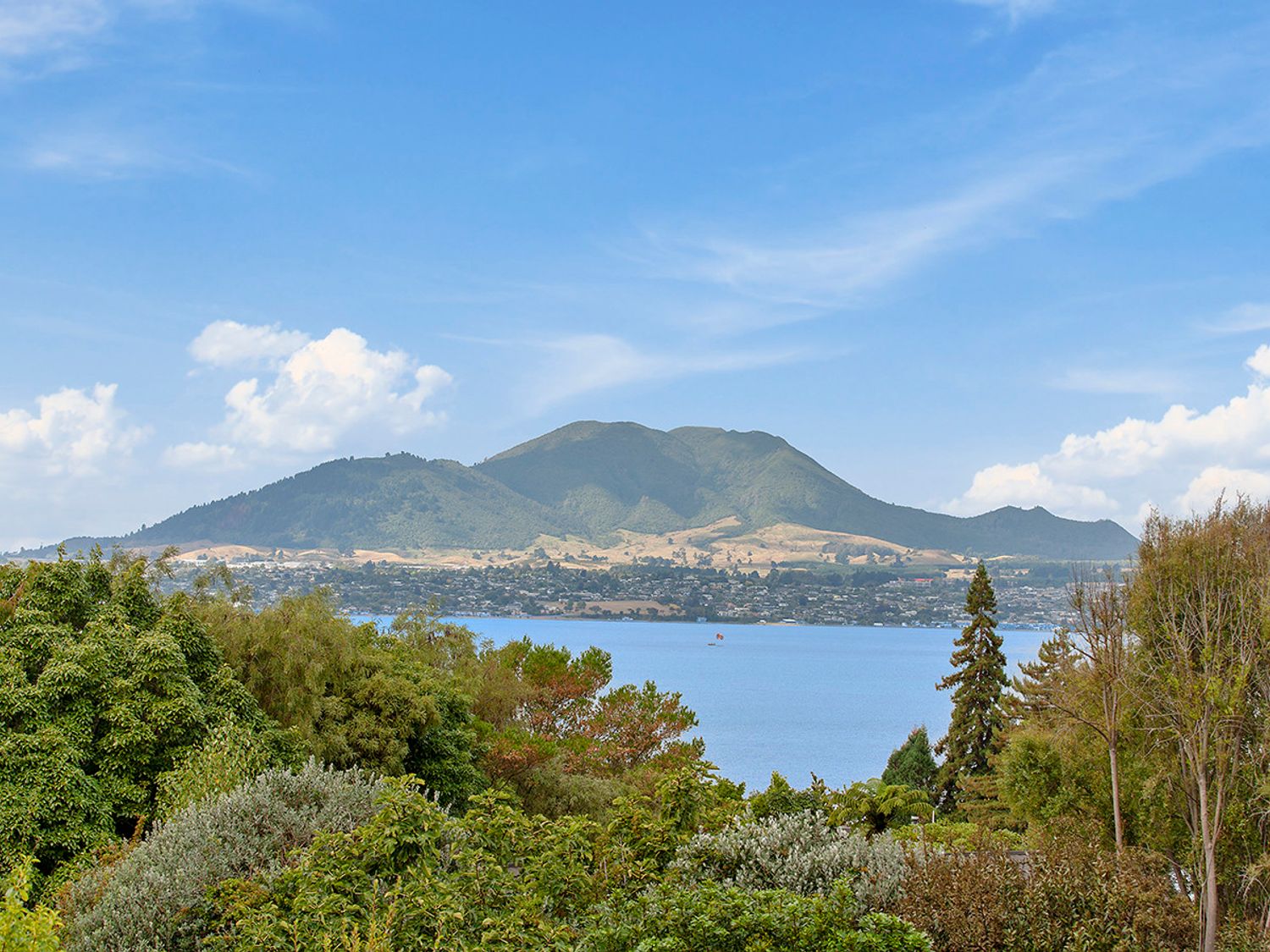 Lofty Lakeviews - Acacia Bay Holiday Home                     photo 25