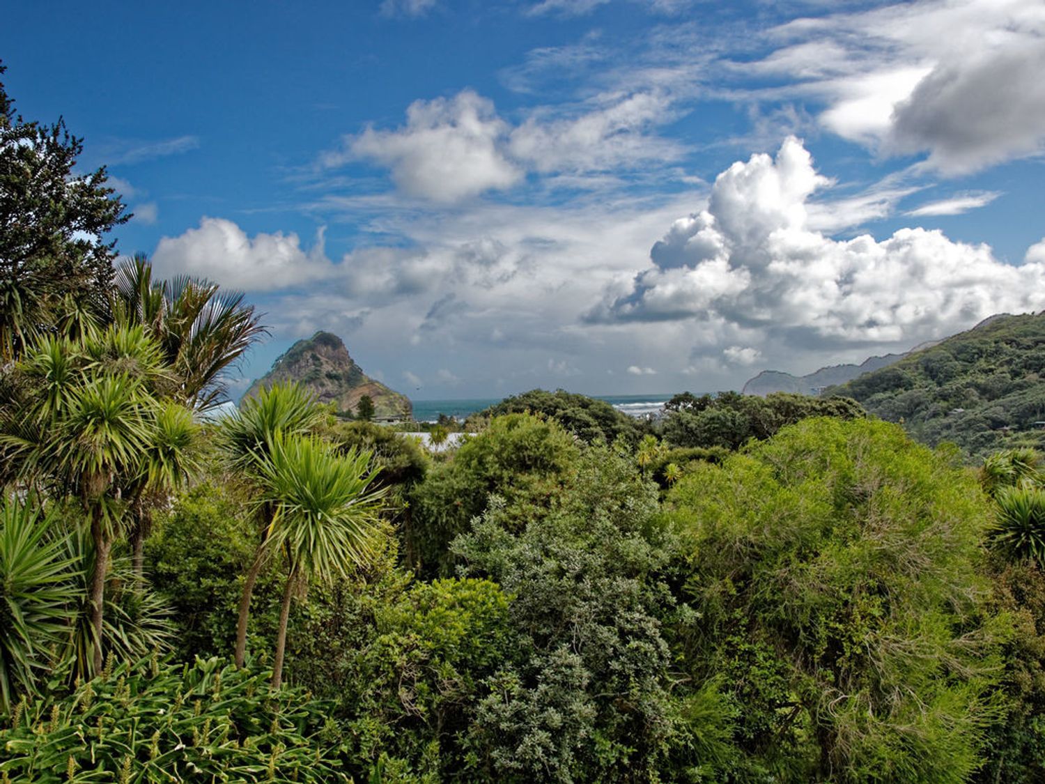 Surfer's Sunshine Cottage - Piha Holiday Home                     photo 2