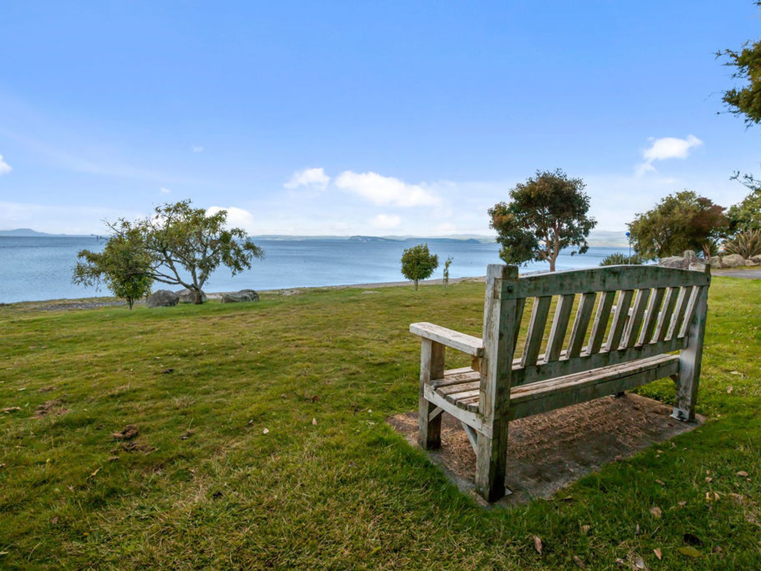 Piwakawaka ā Pukawa - Pukawa Bay Holiday Home                     photo 24