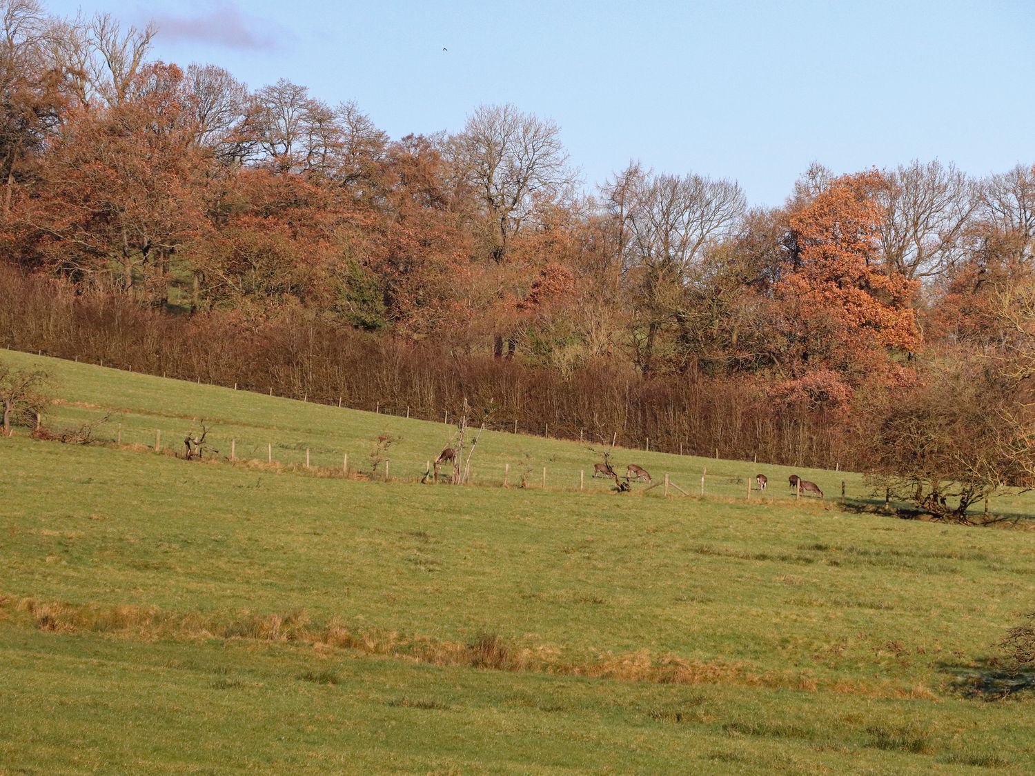 Hill Brook Barn, Chatburn