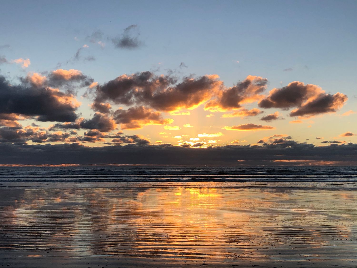 The Beachsider - Te Horo Beach Holiday Home                     photo 24