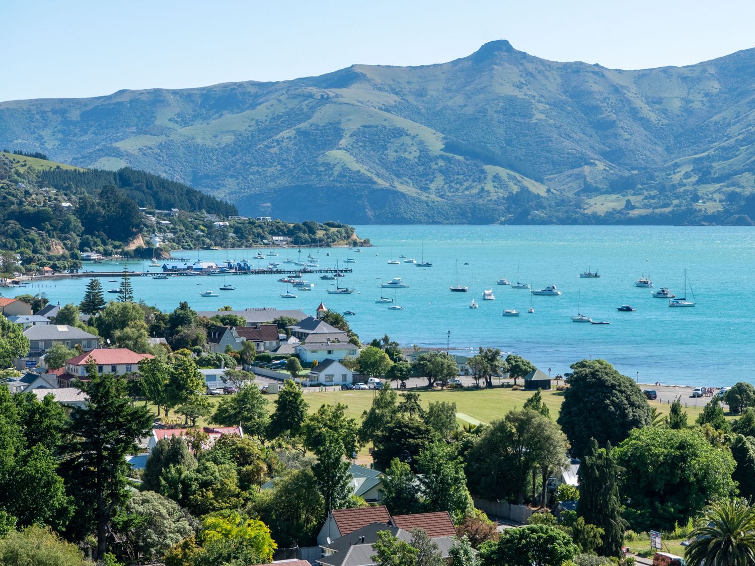 The Tree House - Akaroa Holiday Home                     photo 35