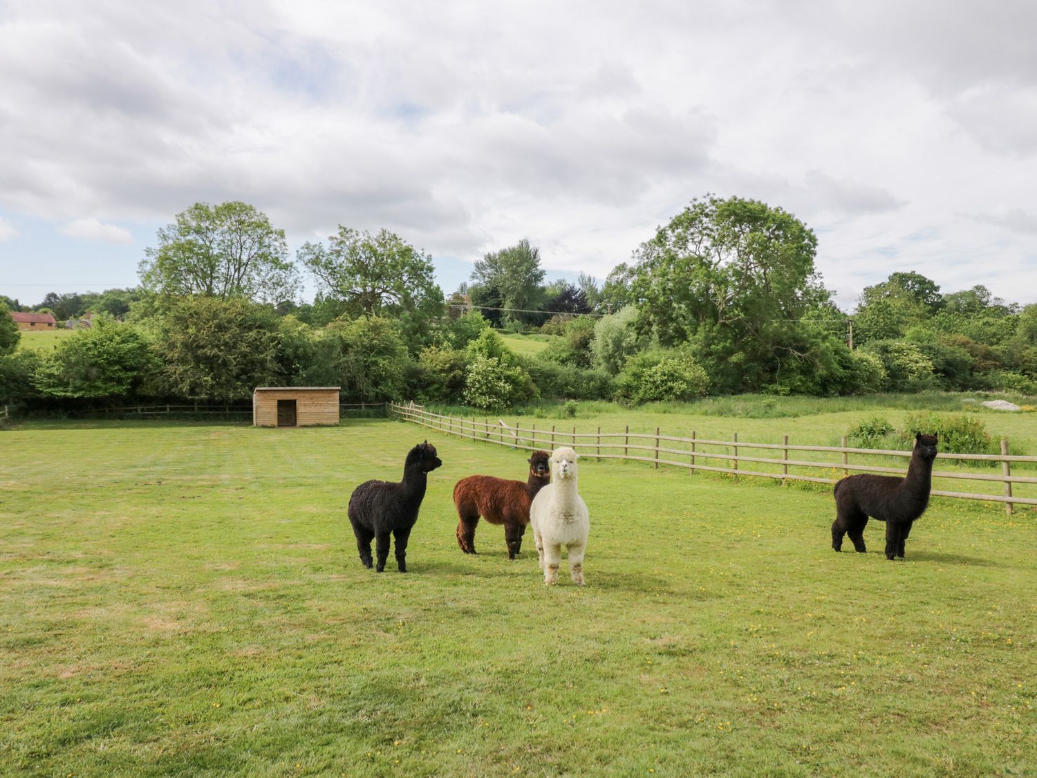 Acorn Lodge, Chacombe