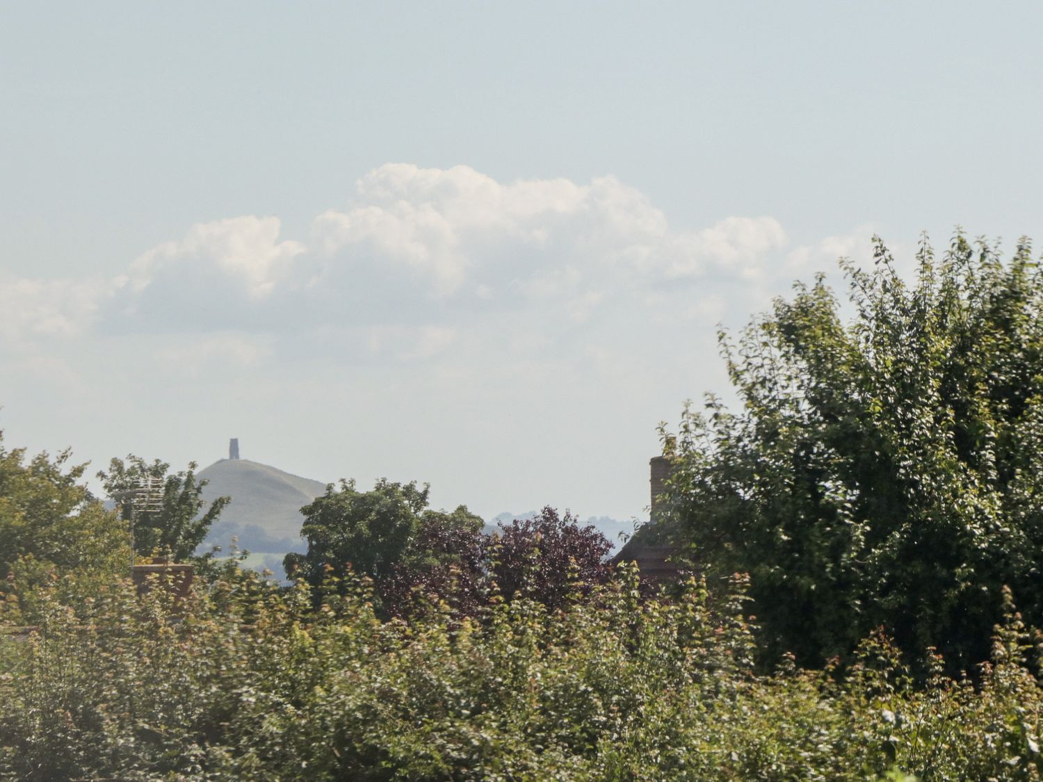 Starlings Roost, Ashcott