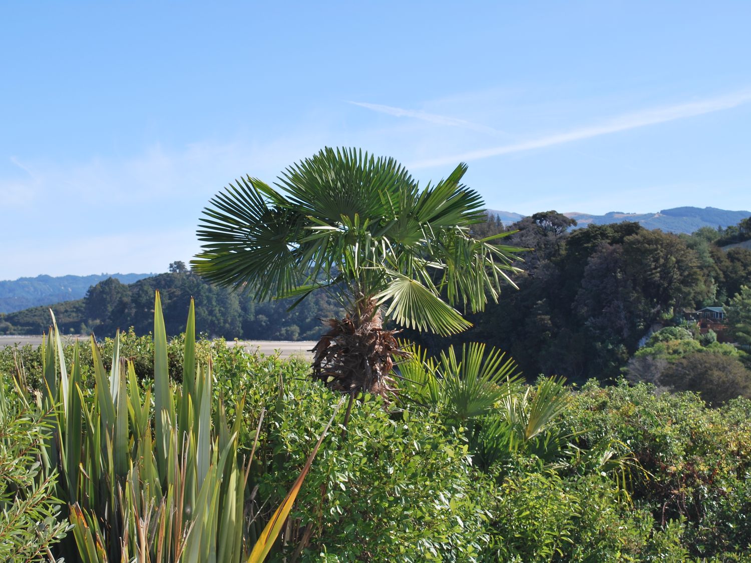 Beach Front Studio, Palms - Tapu Bay Studio                     photo 13