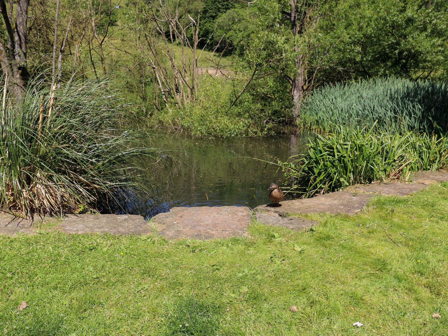 Belvedere Farm, Hipperholme