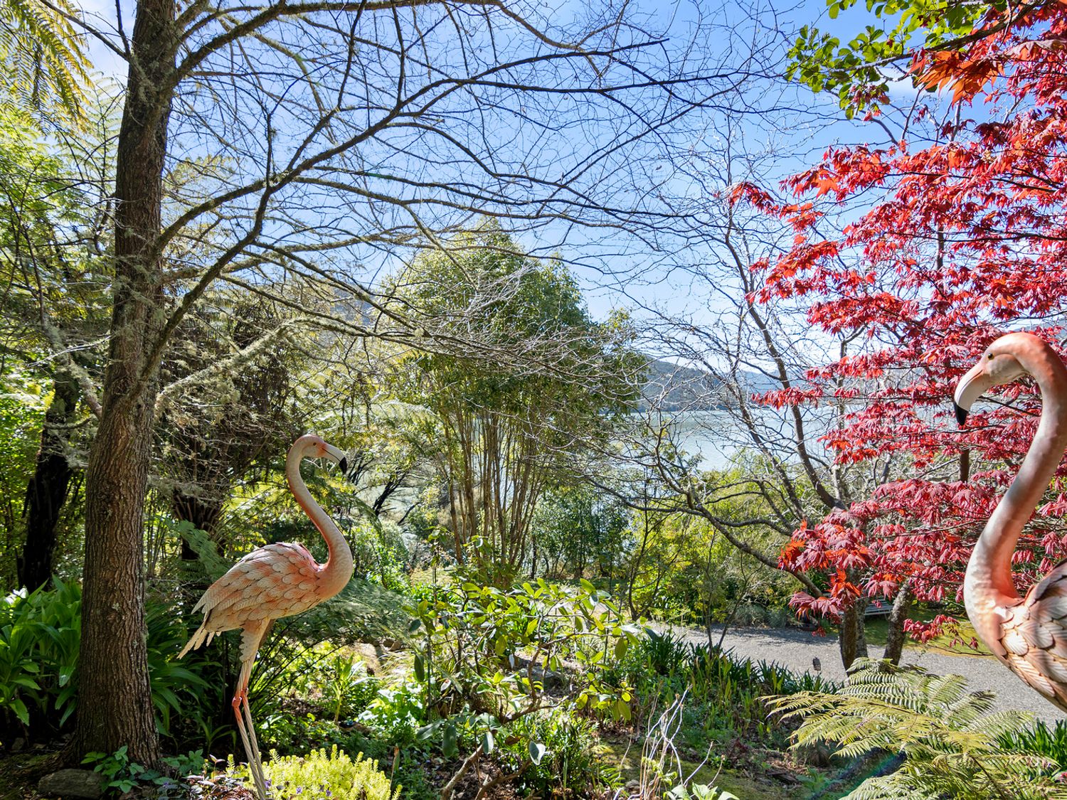 Pukenui Paradise - Havelock Holiday Home                     photo 22