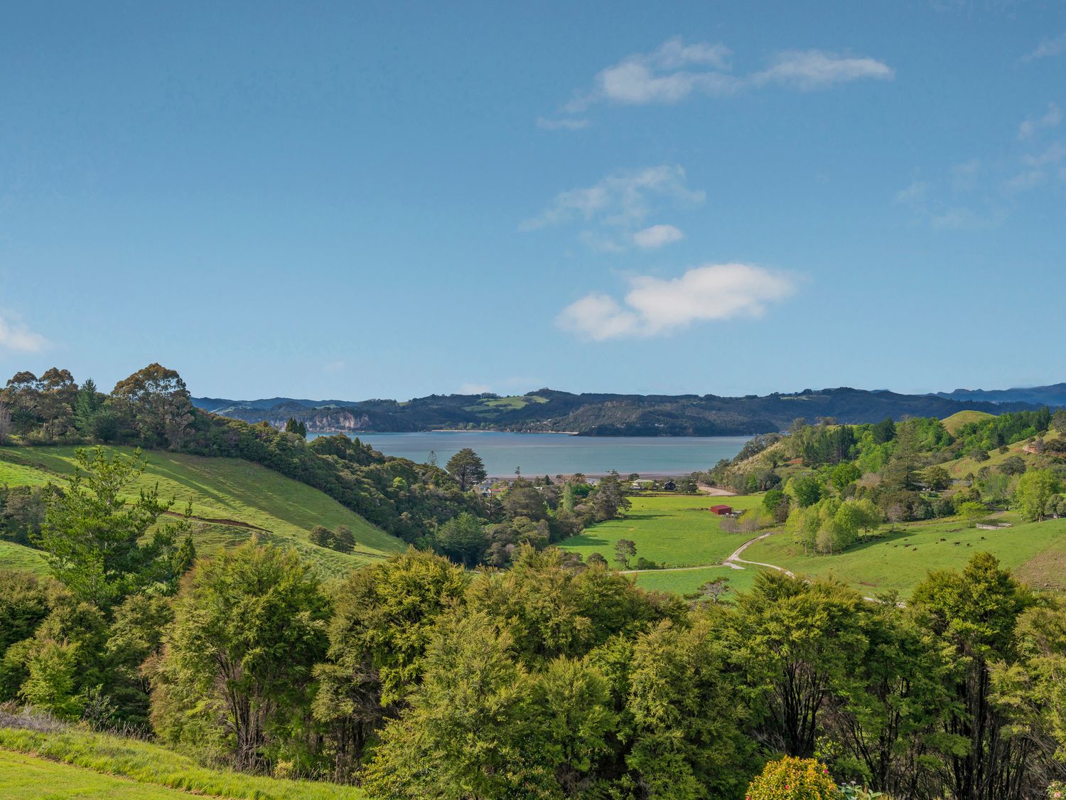 Peace and Paradise - Whitianga Holiday Home                     photo 31