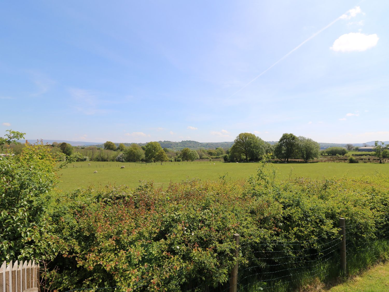 Hill Radnor, Llandrindod Wells