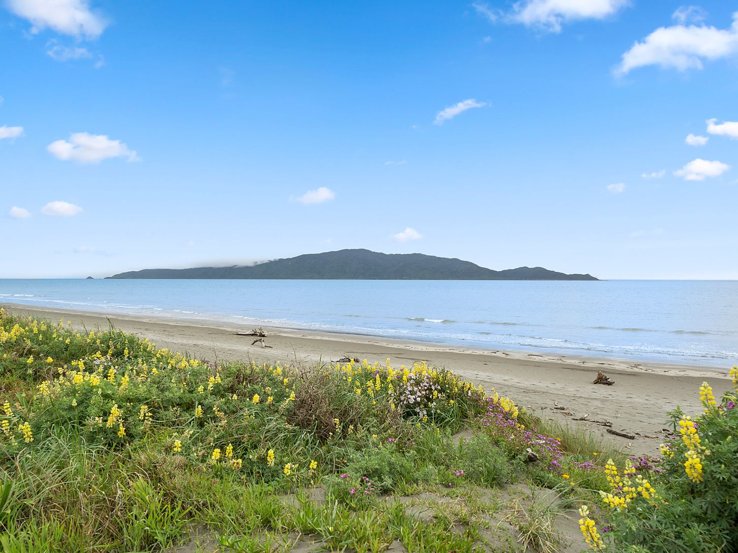 The Beach Bach - Waikanae Beach Holiday Home                     photo 27