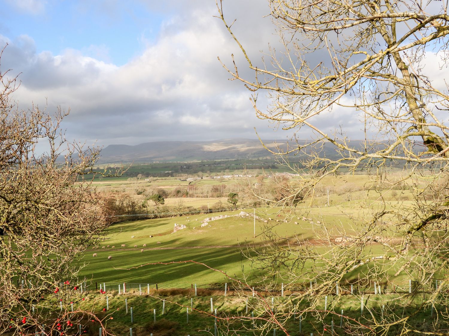 Rookby Cottage, Kirkby Stephen