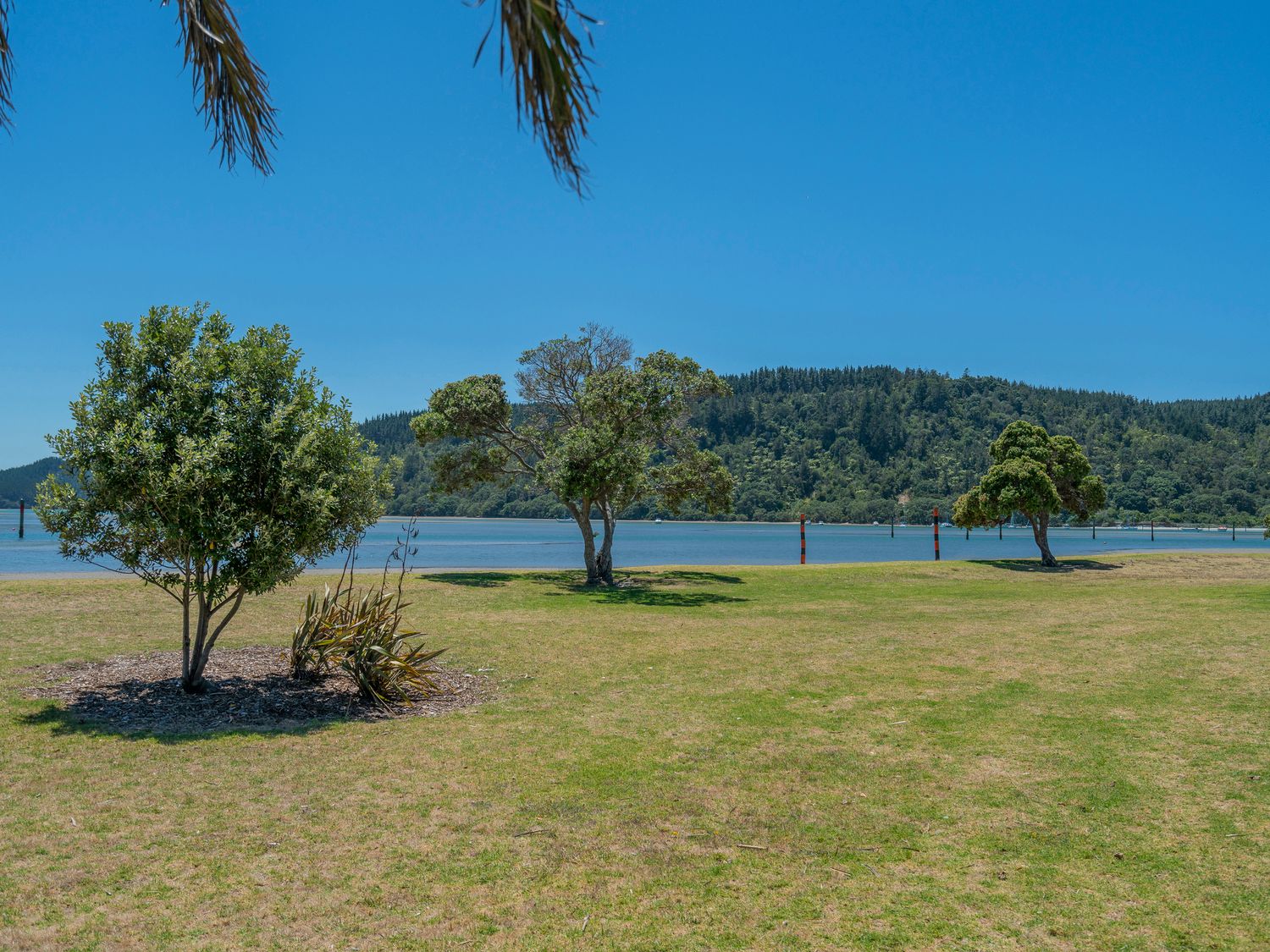 Harbourside Haven - Whangamata Holiday Home                     photo 29