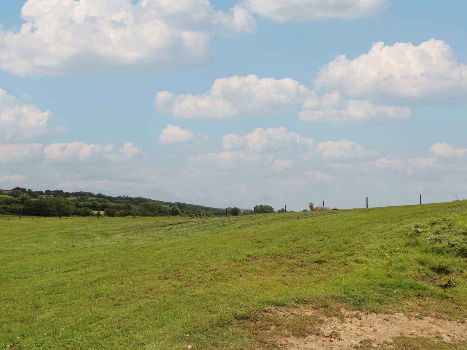 Swallows Nest, Sturminster Newton