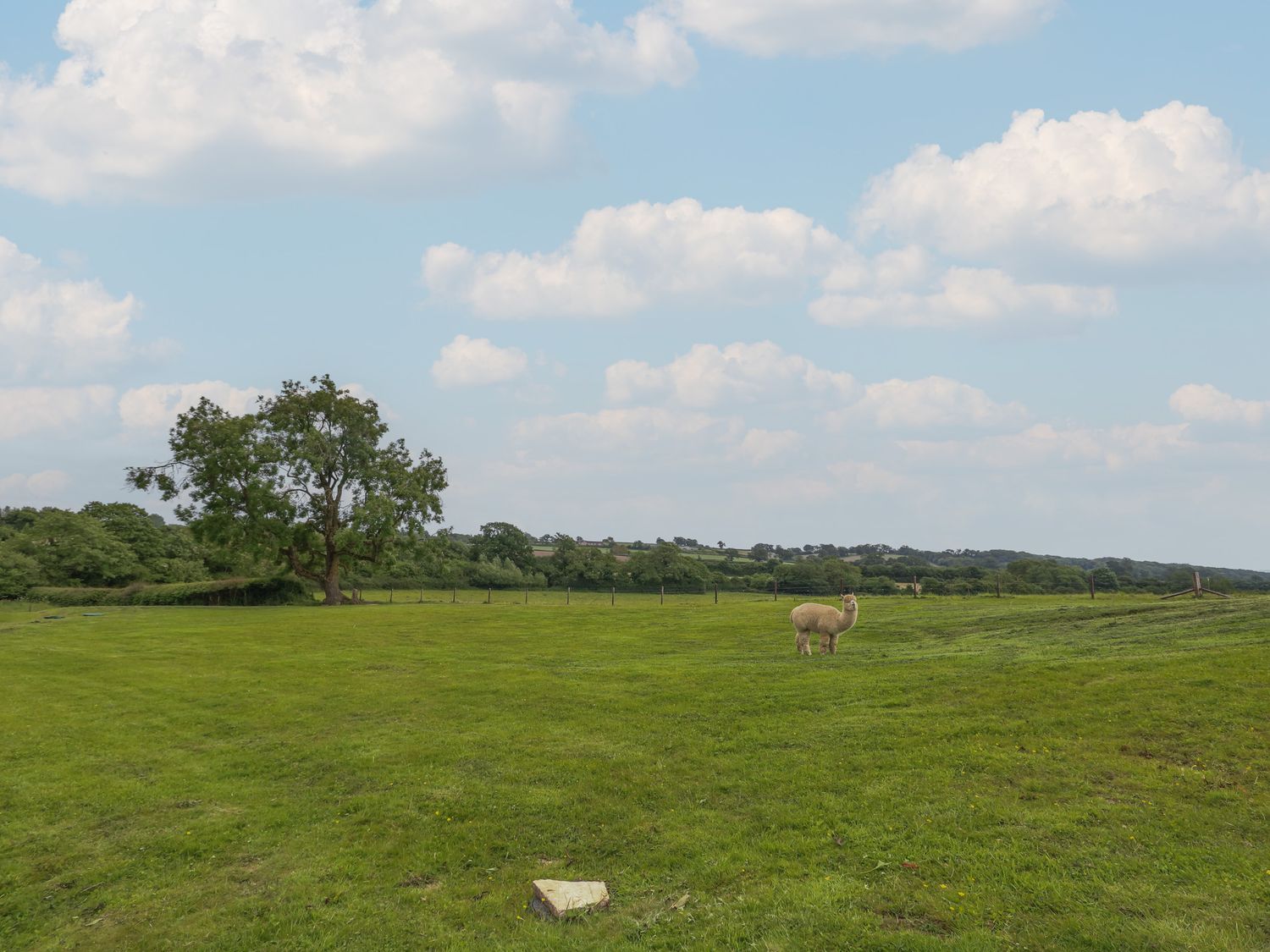 Shires Rest, Sturminster Newton