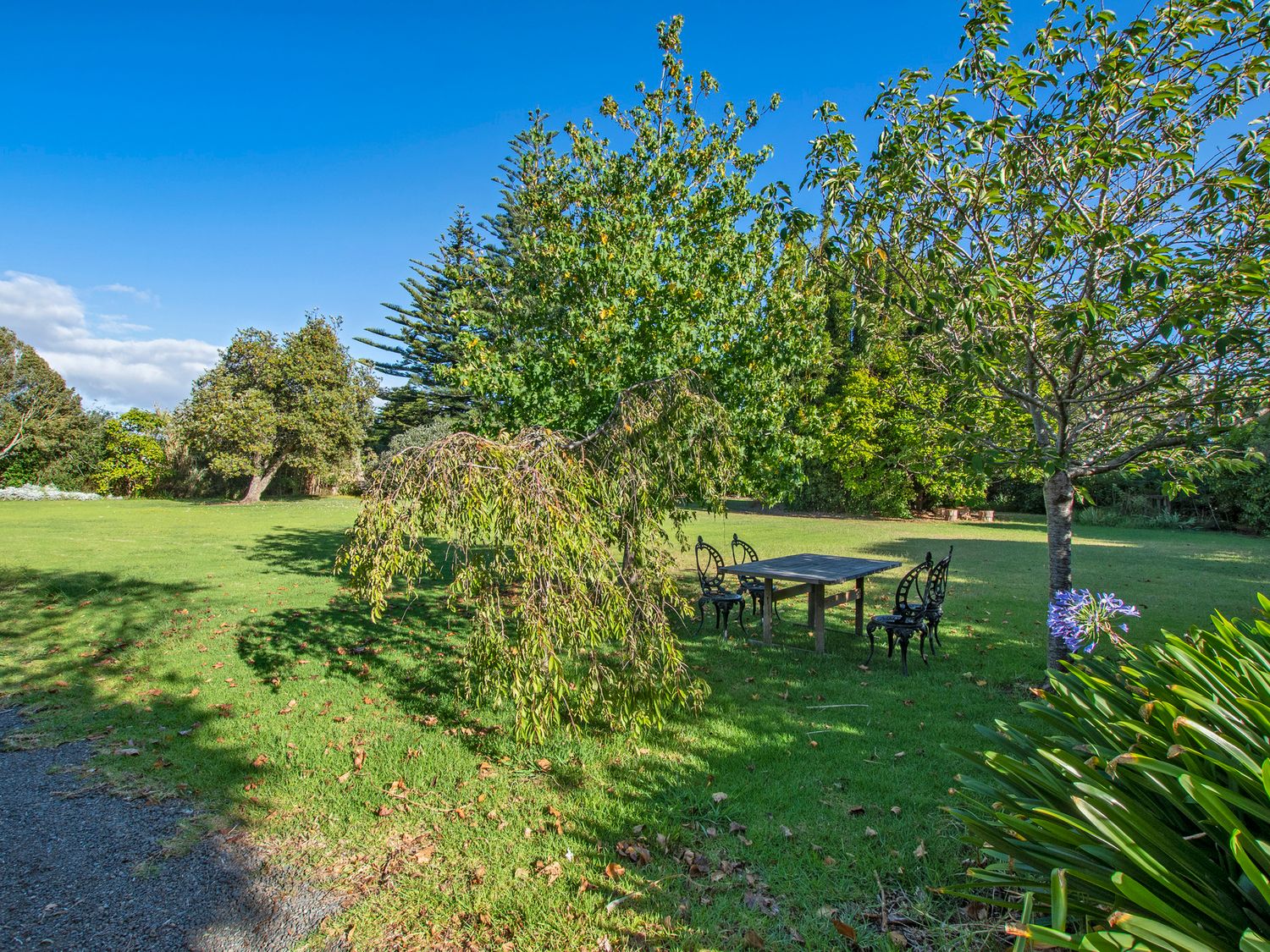 Somerton - Waipu Holiday Home                     photo 16