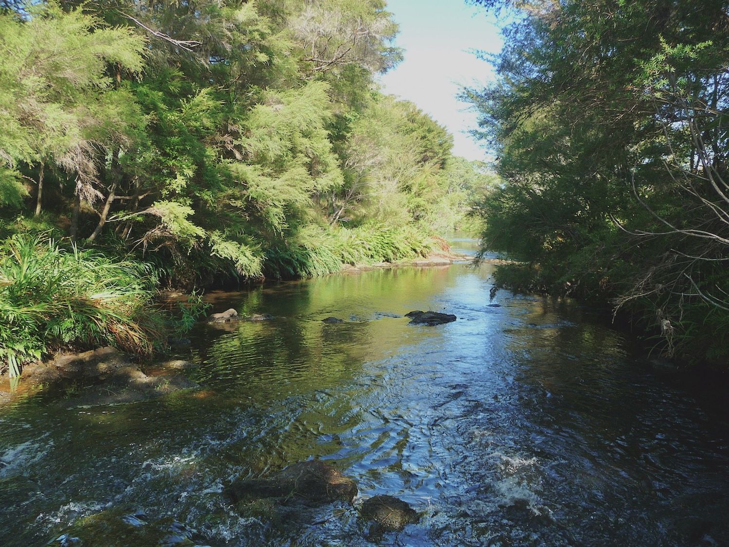 Havenbrooke - Kerikeri Holiday Home                     photo 15