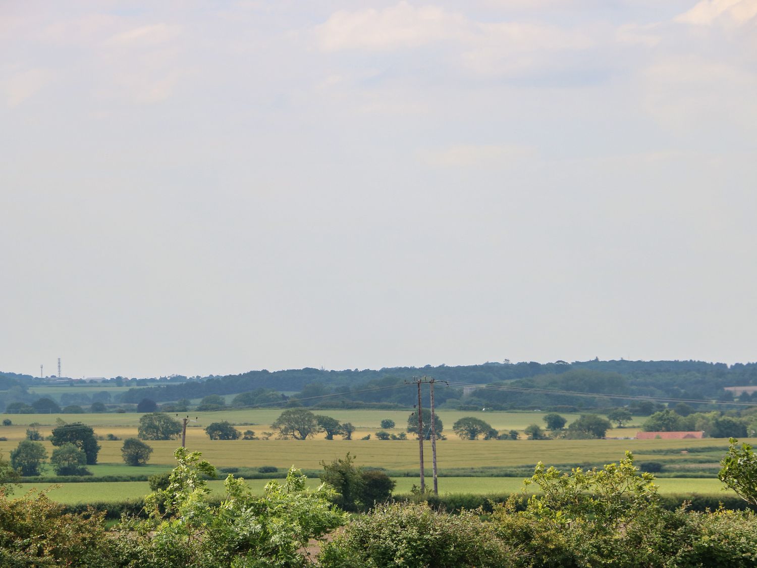 Spinney's Den, Knapton